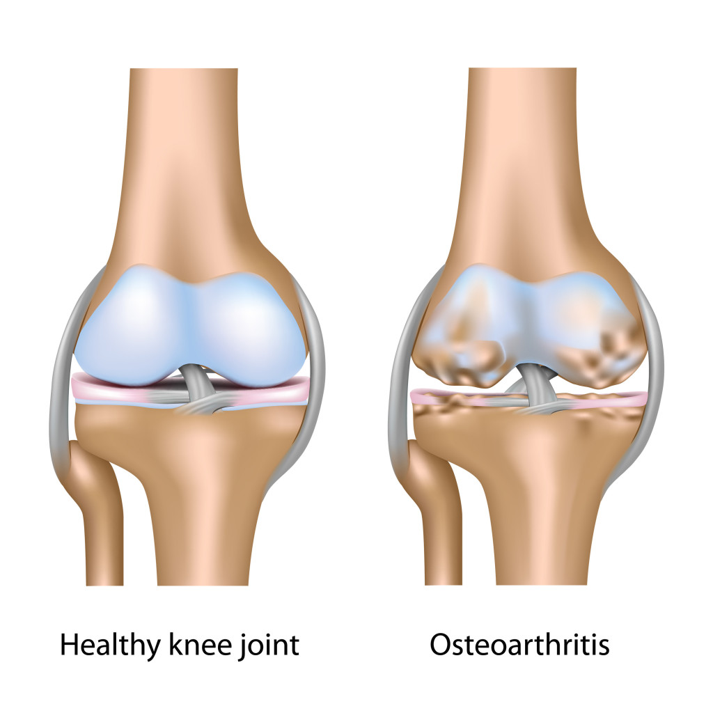 SBS Bio-Tech Dr. Ortho Oil